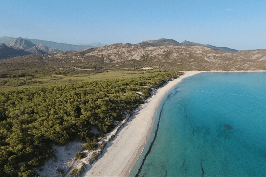 Picture 6 for Activity From Calvi: 4x4 Day Tour Mountain & Agriates' Saleccia Beach 2