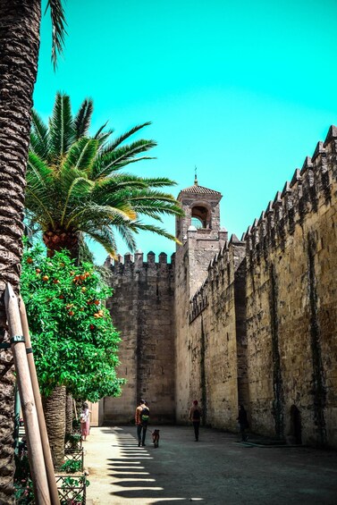 Picture 5 for Activity Cordoba: 2.5-Hour Guided Jewish Quarter and Alcazar Tour 4