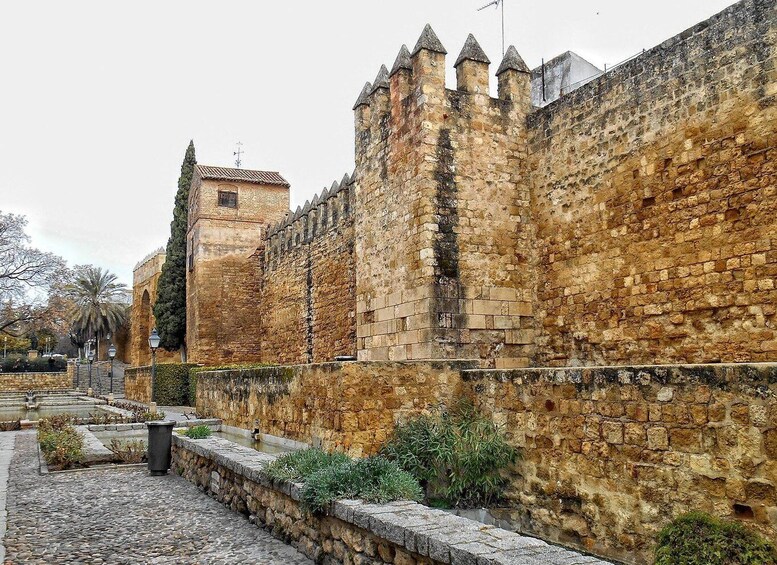 Picture 4 for Activity Cordoba: 2.5-Hour Guided Jewish Quarter and Alcazar Tour 5