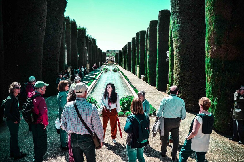 Picture 3 for Activity Cordoba: 2.5-Hour Guided Jewish Quarter and Alcazar Tour 3