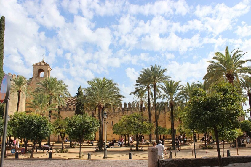 Picture 2 for Activity Cordoba: 2.5-Hour Guided Jewish Quarter and Alcazar Tour 2