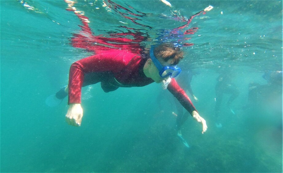 Picture 7 for Activity Arrábida: Stand Up Paddle & Snorkeling Experience 3