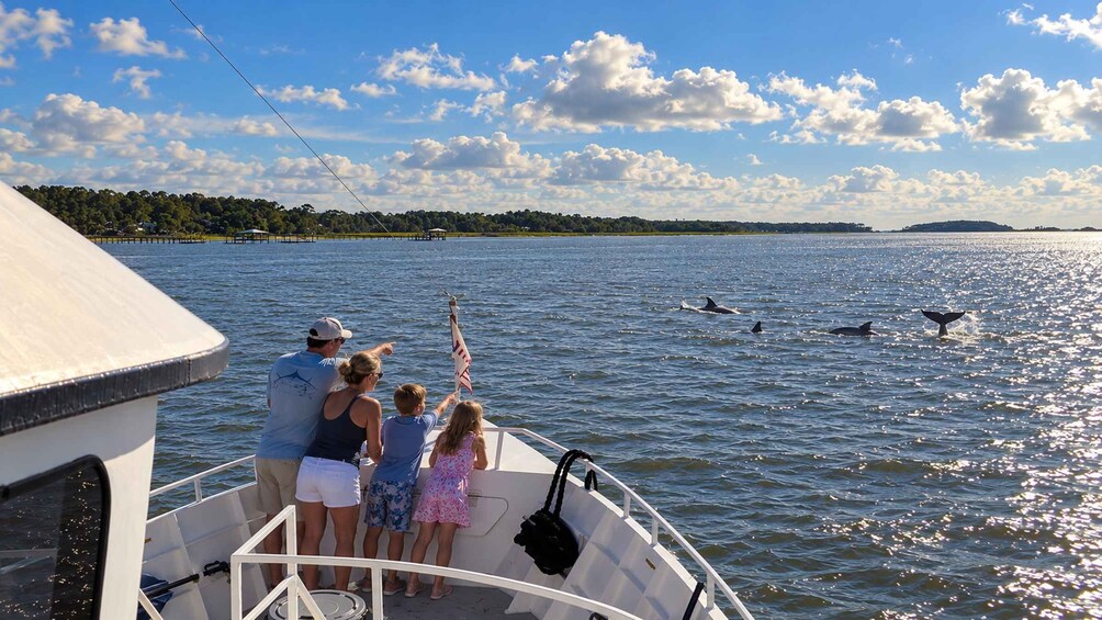 Hilton Head Island: Ocean Dolphin Cruise 1