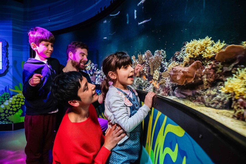 A group of people observing an aquarium exhibit with coral and marine life. 5