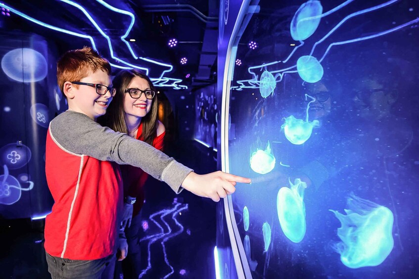 Two people observing jellyfish in an aquarium with a neon-lit background. 2