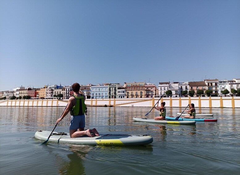 Picture 2 for Activity Seville: 1.5-Hour Daytime Standup Paddleboarding Tour 3
