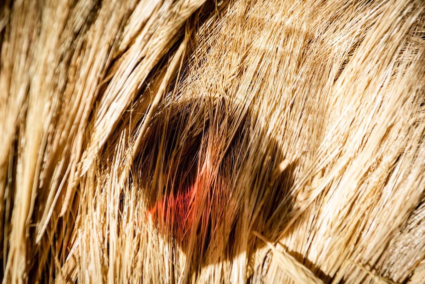 Un gros plan d’une surface texturée, composée d’un mélange de fibres claires et foncées. 3