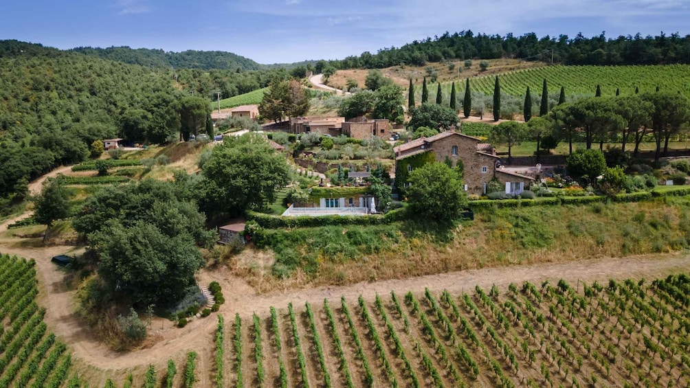 Un vignoble avec des rangées de vignes, une maison en pierre et un paysage vallonné parsemé d’arbres. 5