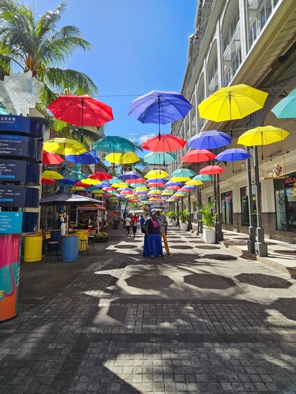 A street with colorful umbrellas hanging overhead and palm trees. 1