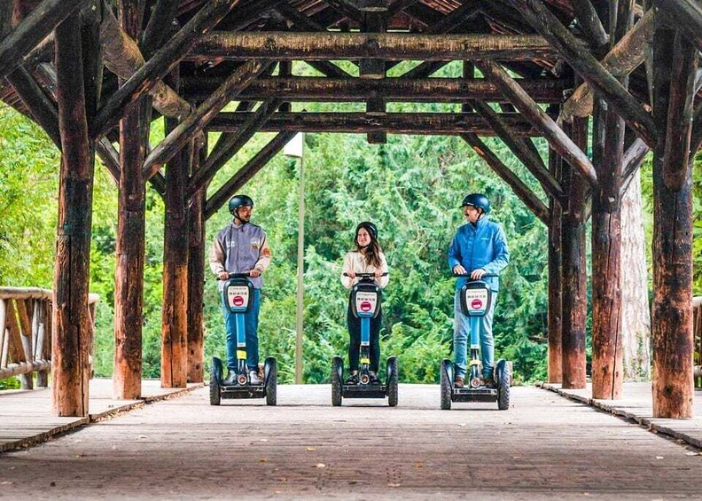 Three people on segways under a wooden structure with a forest background. 1