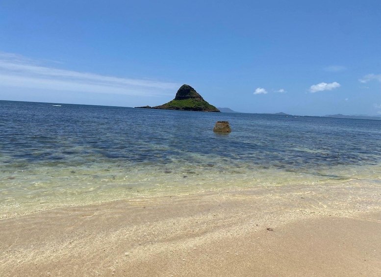 Picture 22 for Activity Oahu: North Shore Experience and Dole Plantation 2