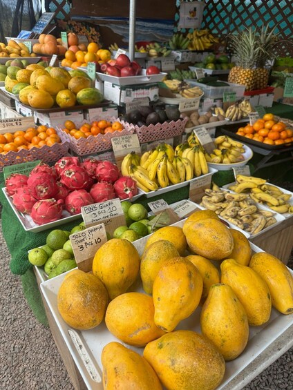 Picture 10 for Activity Oahu: North Shore Experience and Dole Plantation 5