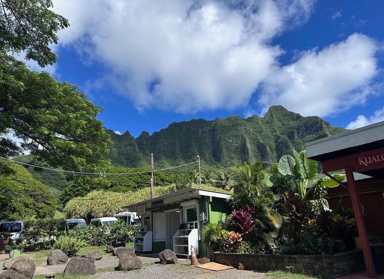 Picture 4 for Activity Oahu: North Shore Experience and Dole Plantation 4