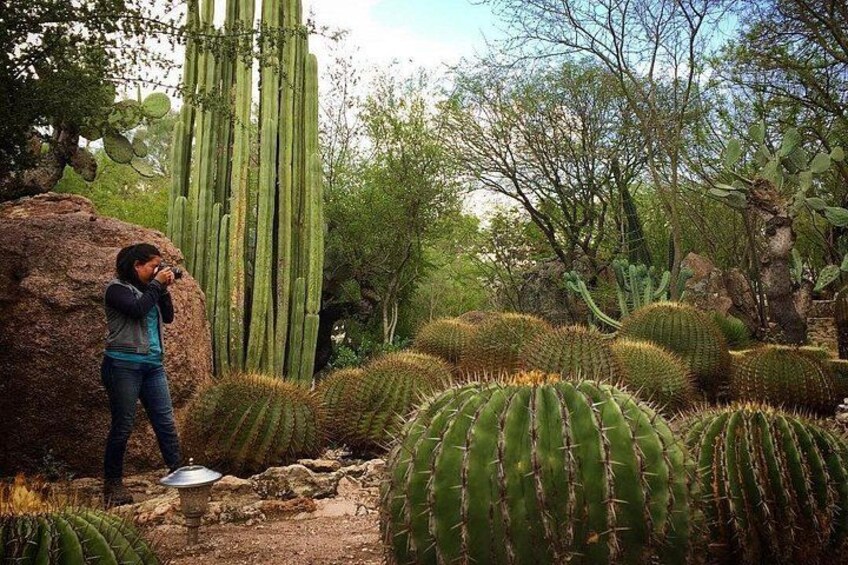 Botanical Garden 3