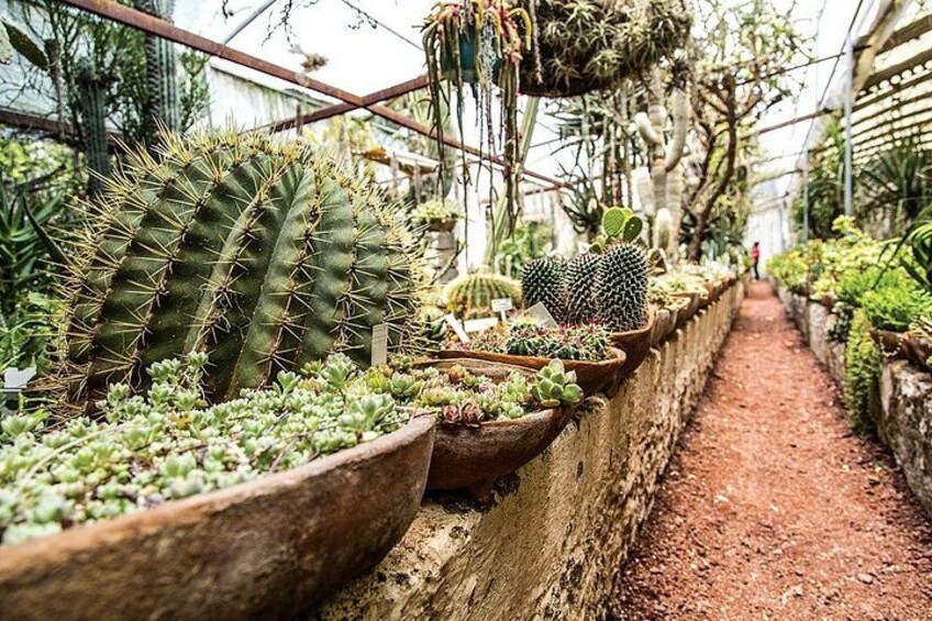Botanical Garden 5