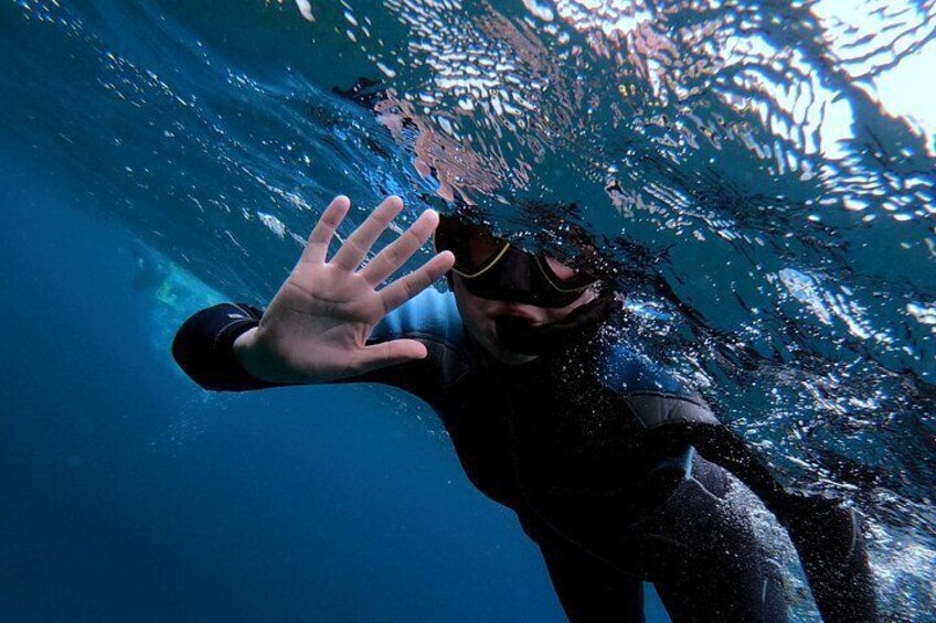 Una persona bajo el agua con una mano extendida, usando un traje de neopreno y gafas. 3