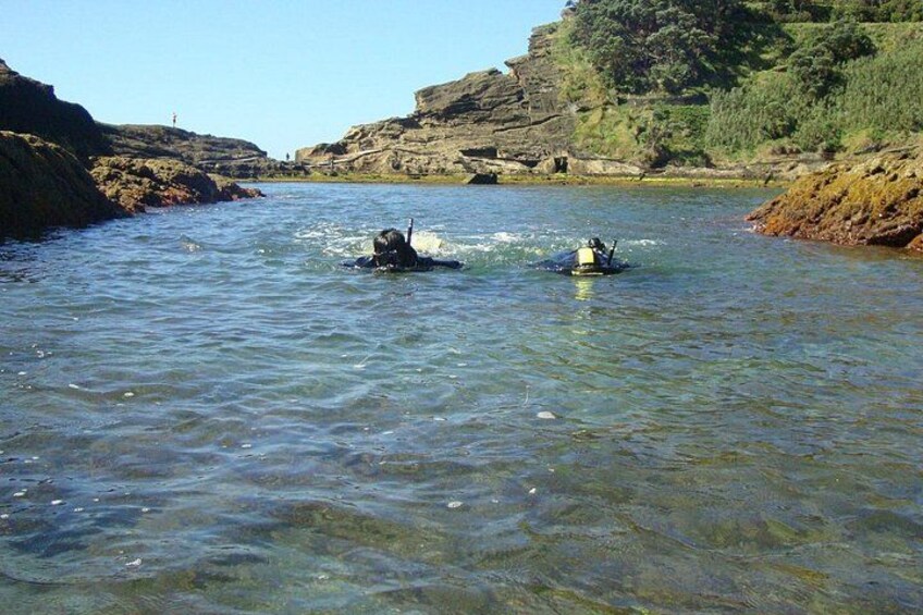 Snorkeling in Vila Franca do Campo 2