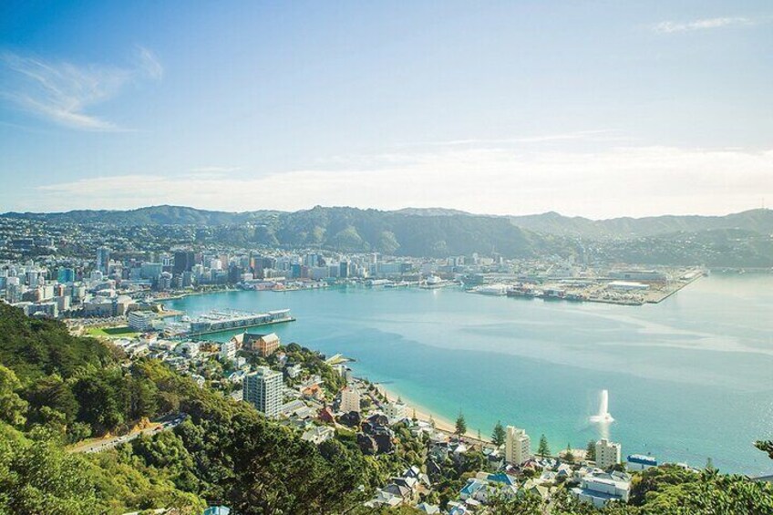 15-Minute Wellington Harbour Helicopter Flight