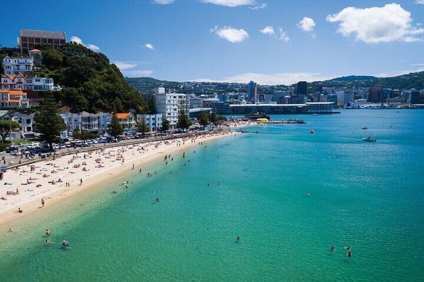 15-Minute Wellington Harbour Helicopter Flight