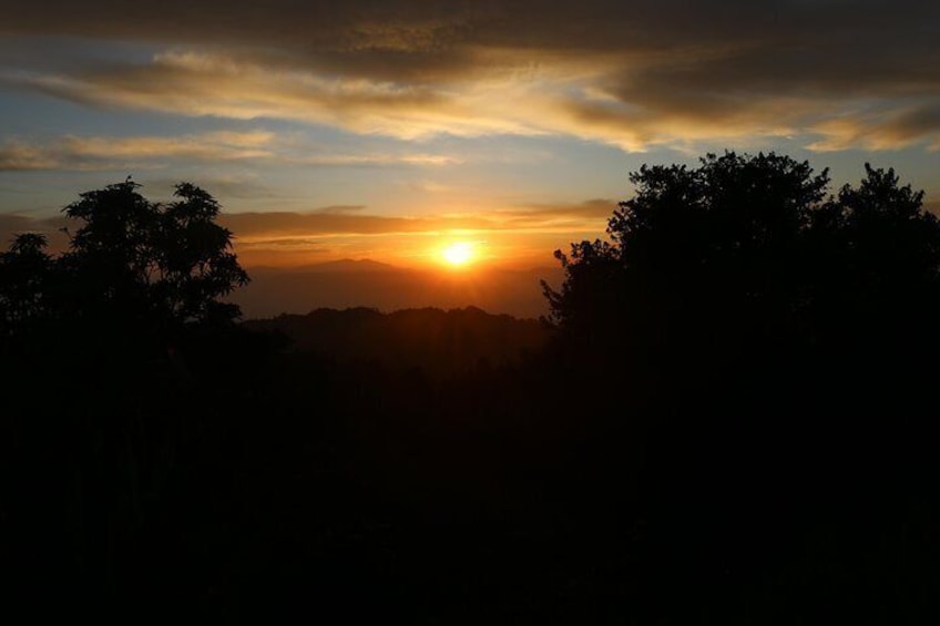 A sunset over a silhouette of trees. 3