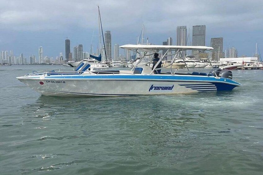 A blue and white speedboat with the name 'Freewind' on the water. 5