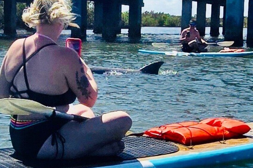 Dolphin and Manatee Adventure Tour of Merritt Island 5
