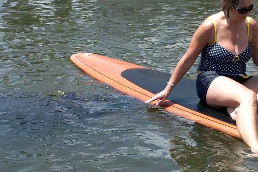 Its great to observe the manatees but its important to do you best to avoid any contact with them 5