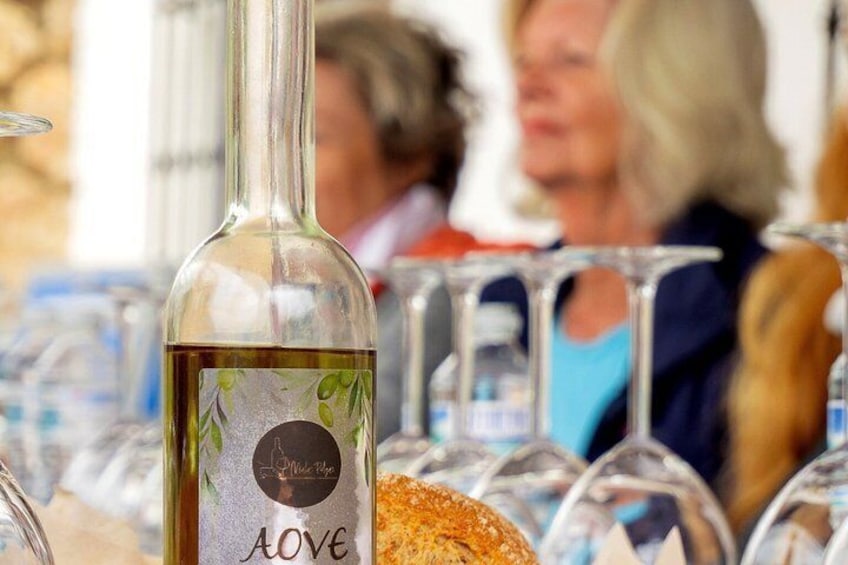 Near Malaga: Mijas Organic Vineyard, 5 Wines, 2 Oils & Tapas 2