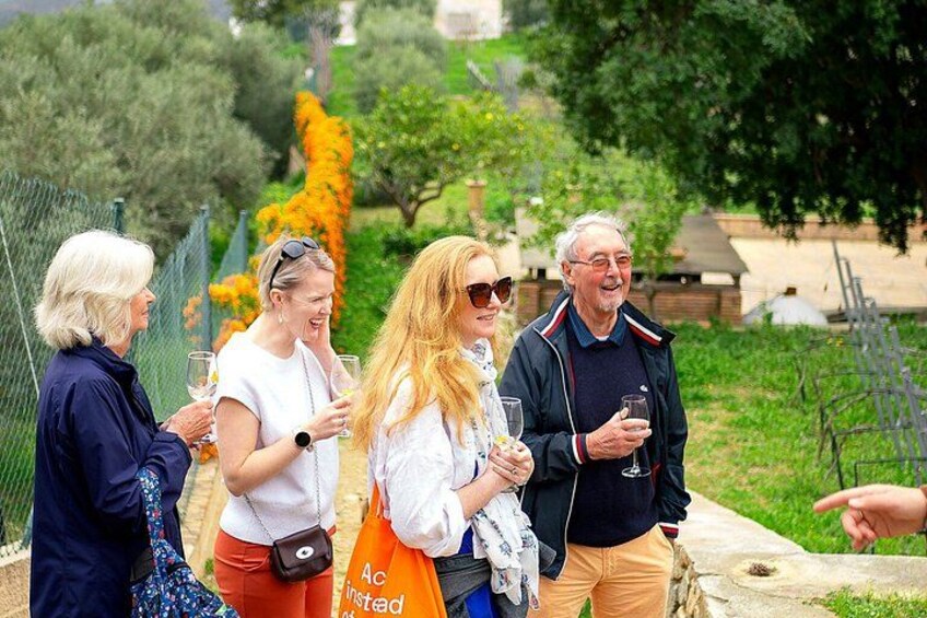 Near Malaga: Mijas Organic Vineyard, 5 Wines, 2 Oils & Tapas 2
