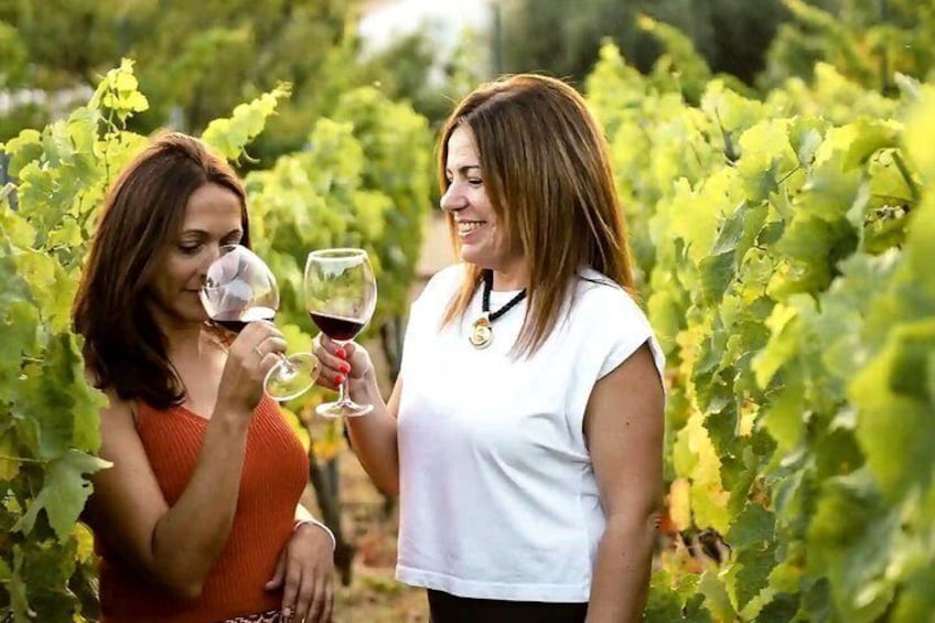 Near Malaga: Mijas Organic Vineyard, 5 Wines, 2 Oils & Tapas 1