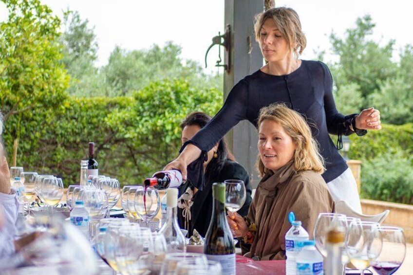 Near Malaga: Mijas Organic Vineyard, 5 Wines, 2 Oils & Tapas 2