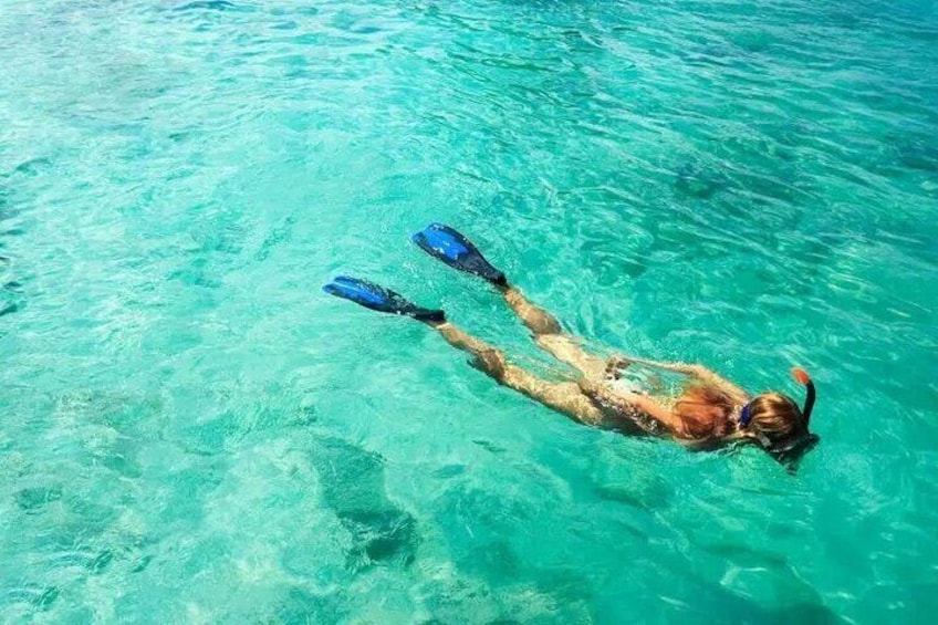 Ocean Snorkeling 