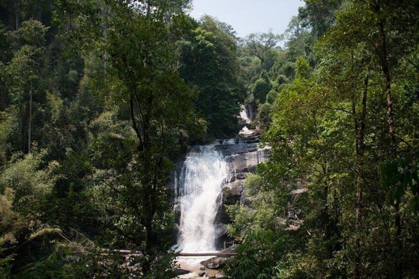Een waterval omgeven door dicht bos. 5