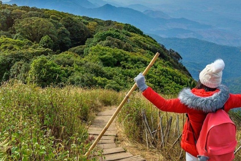 A person hiking on a wooden trail surrounded by lush greenery and mountains in the background. 3