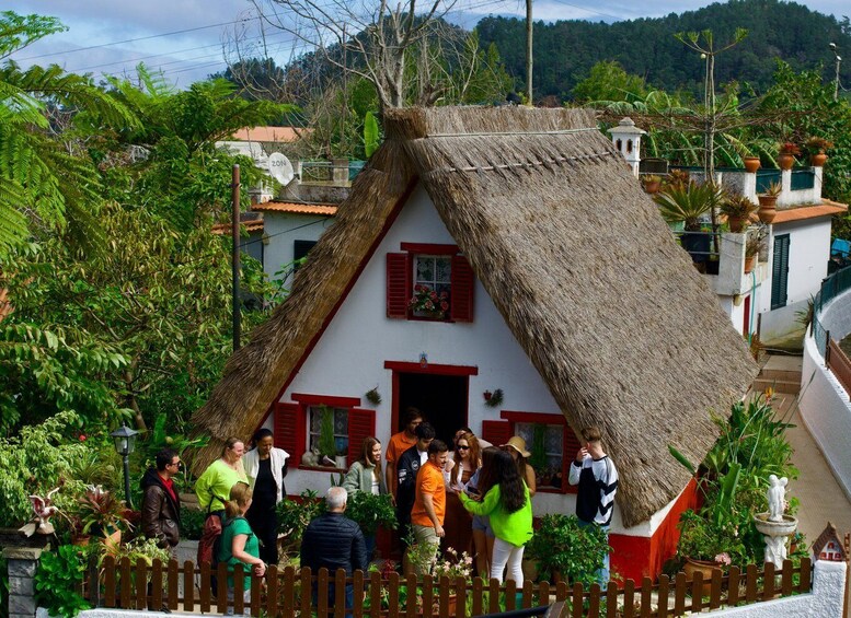 Picture 6 for Activity Madeira: Santana Jeep Safari and Referta Levada Walk 5