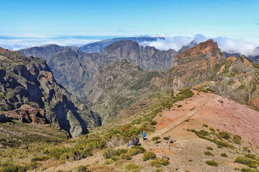 Picture 2 for Activity Madeira: Santana Jeep Safari and Referta Levada Walk 3