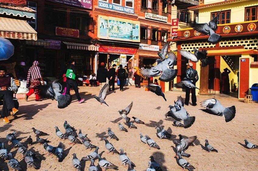Kathmandu Private Tour: UNESCO World Heritage Sites 4