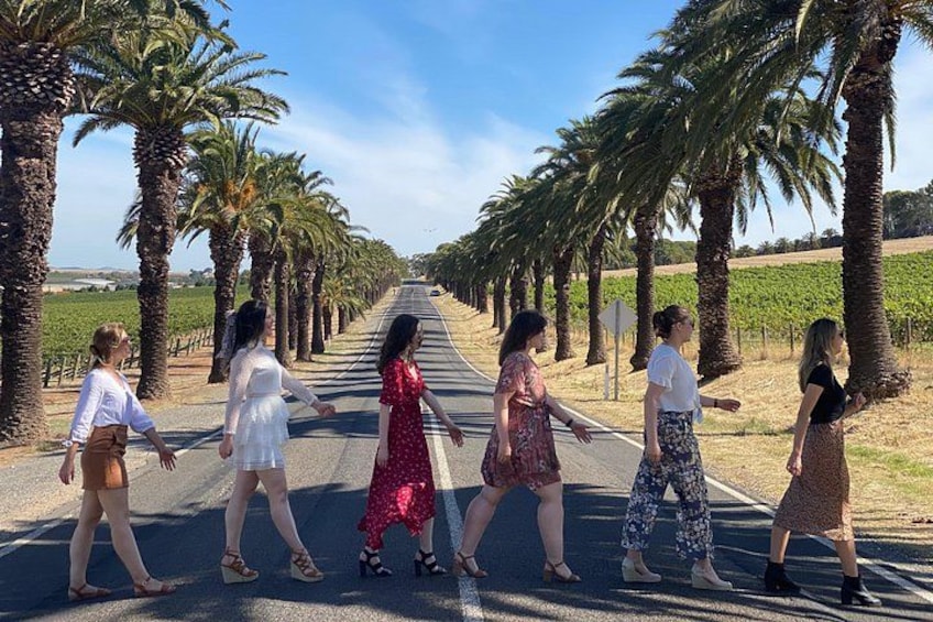 A road lined with palm trees and a vineyard in the background. 2