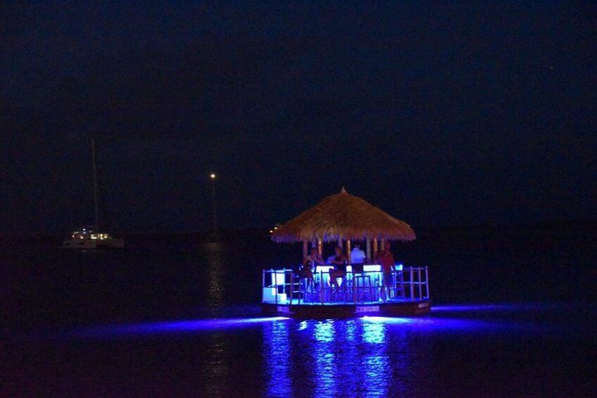 Underwater lights on a night cruise! 4