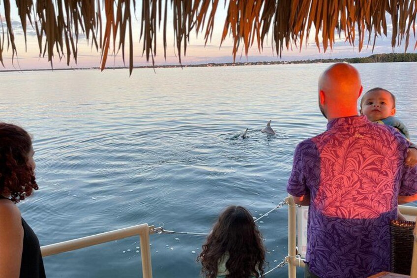 family with dolphin fun! 5