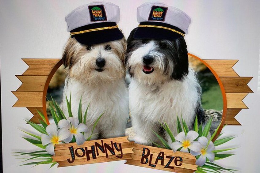 Our dogs and names of our two boats! 2