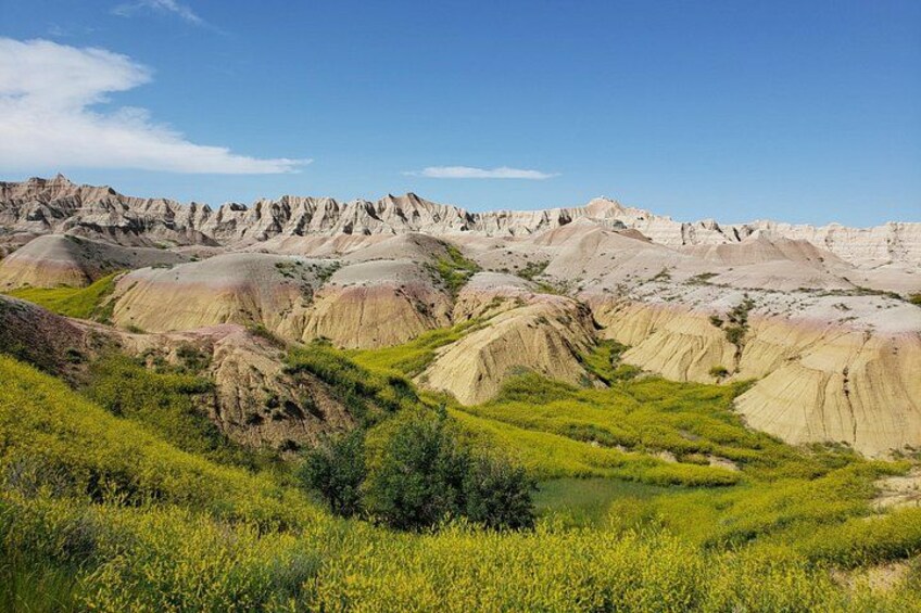 Private Tour of the Badlands with Local Experts 4