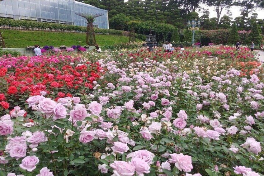 Beartree Park with Admission Ticket to Arboretum in Sejong