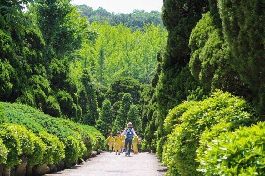 Beartree Park with Admission Ticket to Arboretum in Sejong