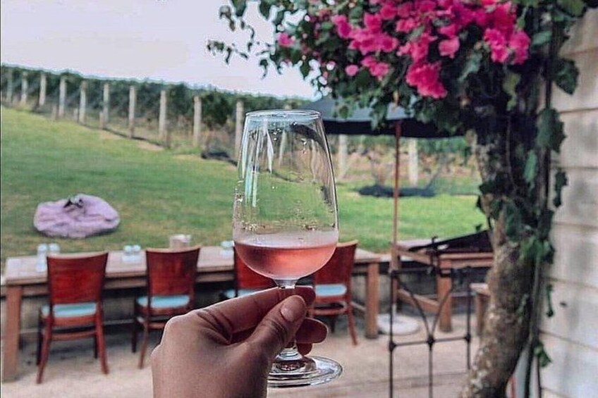 5-Hour Scenic Wine Tour with Private Guide & Up to 12 Tastings 5
