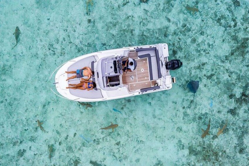 Bora Bora Adventure, Bora Bora Adventure Boat, Bora Bora Tours, Bora Bora Snorkeling, Bora Bora Excursion, Bora Bora Diving Tour,Bora Bora sting rays tour, jet ski bora bora, Safari Bora Bora, lagoon 1