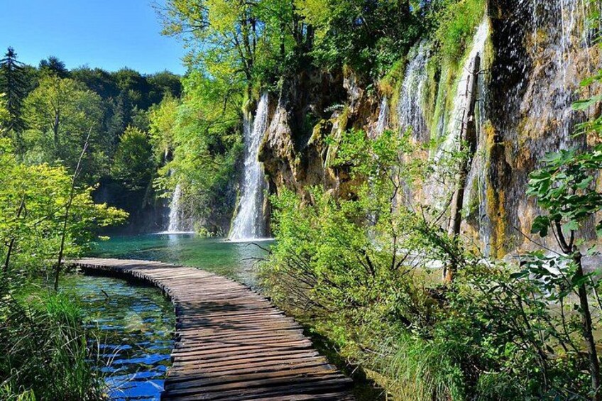 Un camino de madera serpentea hacia una cascada en un área boscosa. 1