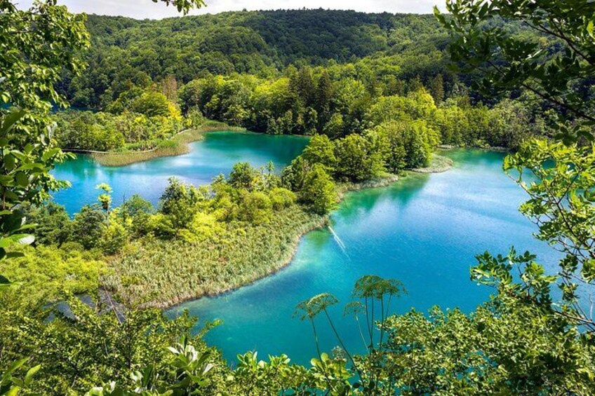 Un lago turquesa rodeado de un bosque verde denso. 4