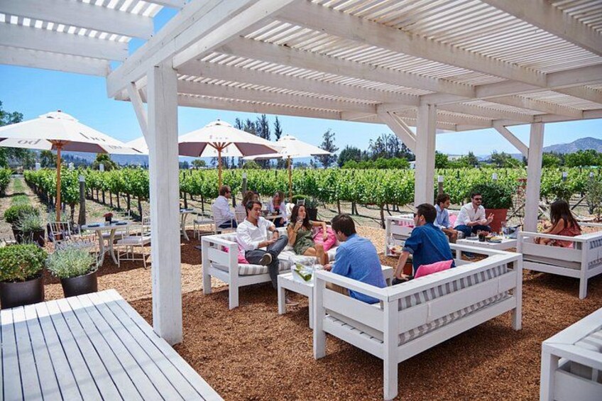 Casablanca Wine Tour 3