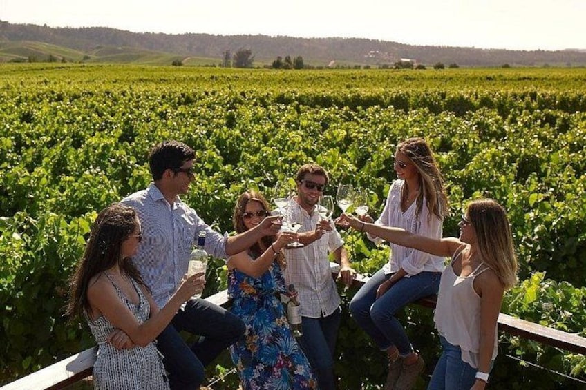 Casablanca Wine Tour 2